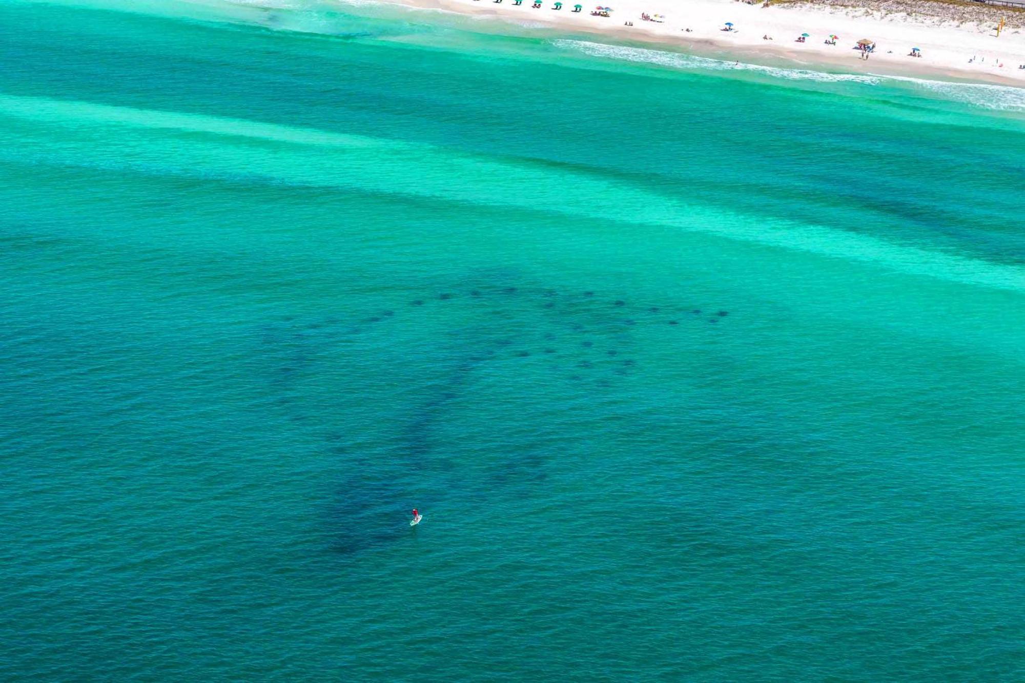 Our Happy Place Destin Bagian luar foto
